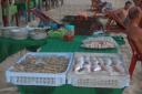 phu_quoc_02.jpg